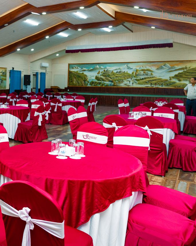 MICE-different-angle