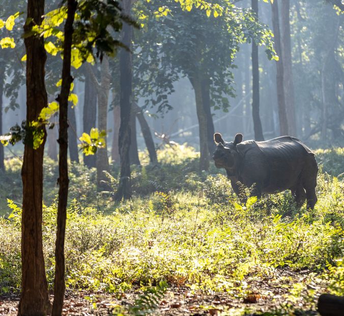 Chitwan National Park