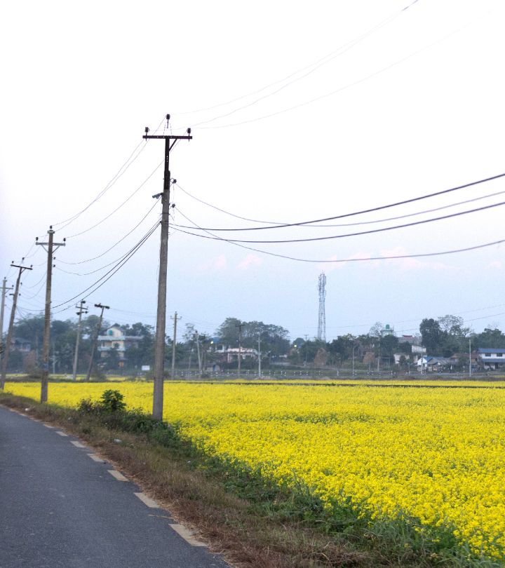 Tharu Village